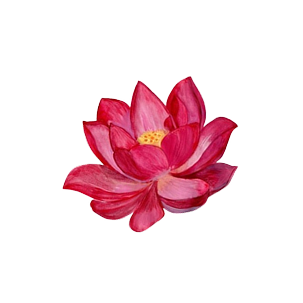 Lotus image